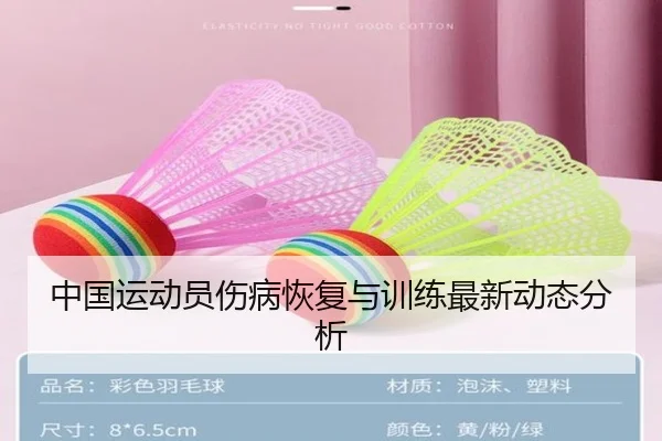 中国运动员伤病恢复与训练最新动态分析